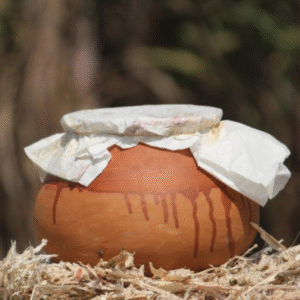 🍯 মাটির হাড়িতে খাটি খেজুরর গুড়